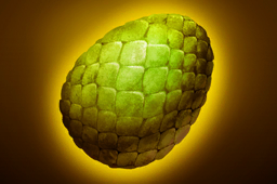 Стиль по умолчанию