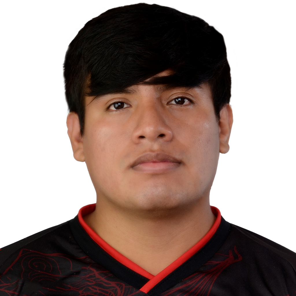 Gard1ck Player Sticker - TI 2022