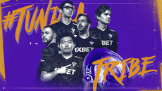 Team Wallpaper - Tundra Esports, Season 9, #2