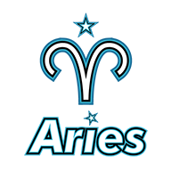 Поддержка Aster.Aries: бронза — летний тур проф. сезона — 2021–2022