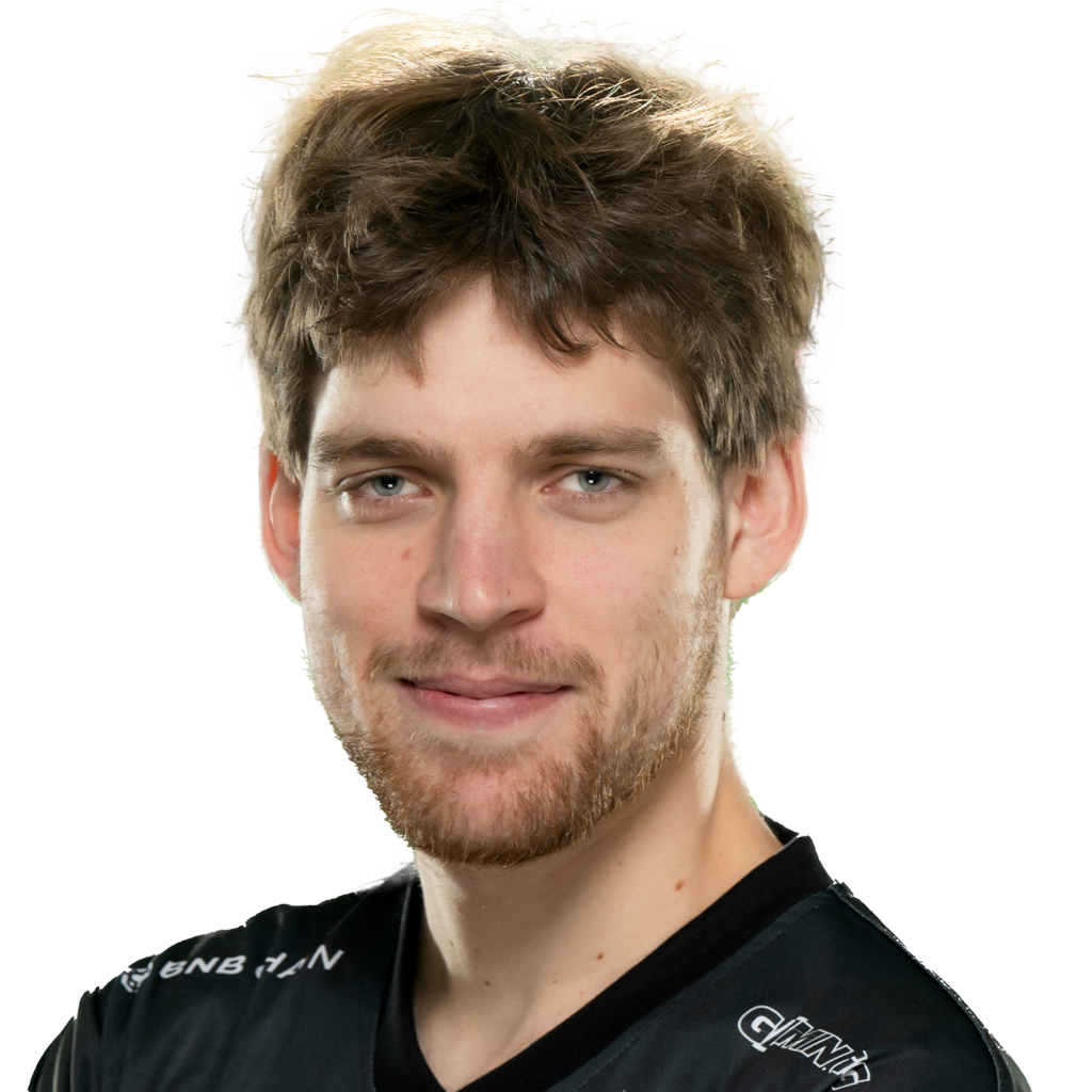 Pegatina del jugador Seleri (TI 2024)