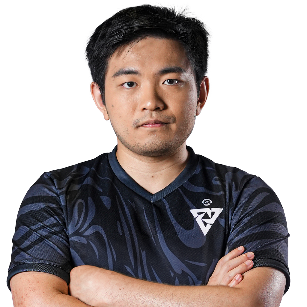 Pegatina del jugador Sneyking - TI 2023