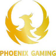 Бронзовий ступінь підтримки phoenix gaming на зимовому турі ПС Dota 2021—2022