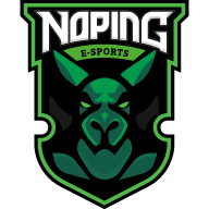 NoPing Esports - Apoyo de nivel bronce
