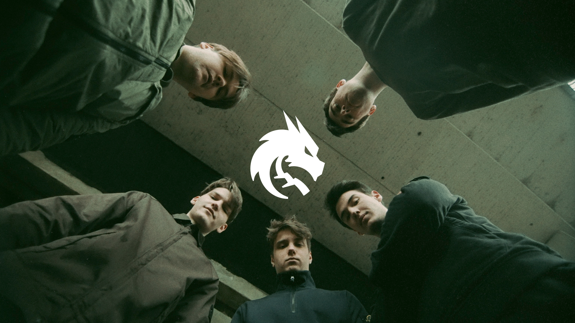 Team Spirit - Fondo de pantalla de equipo (Temporada 8, n.º 1)