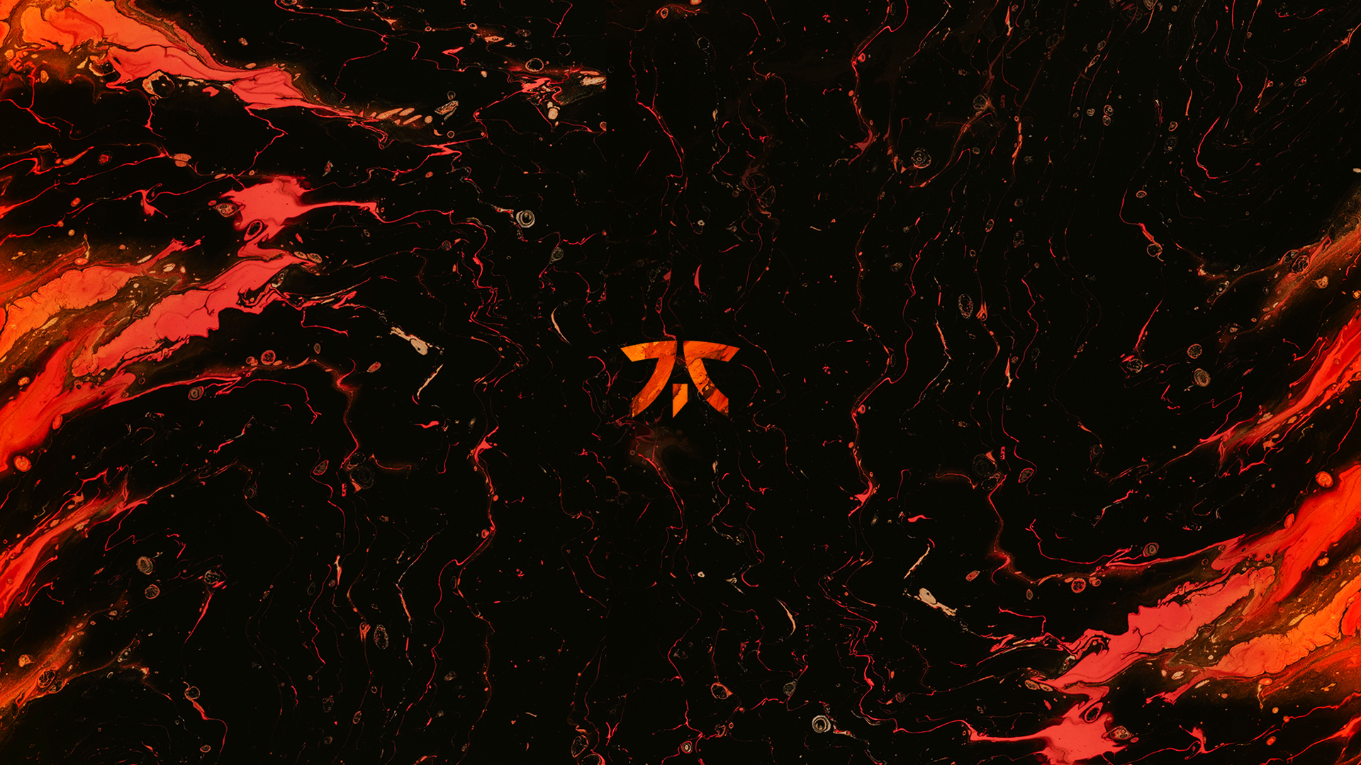 Обои команды Fnatic: 3 сезон, 1 вариант