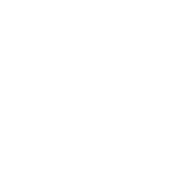 Набор карточек Tundra Esports — весенний тур проф. сезона — 2021–2022
