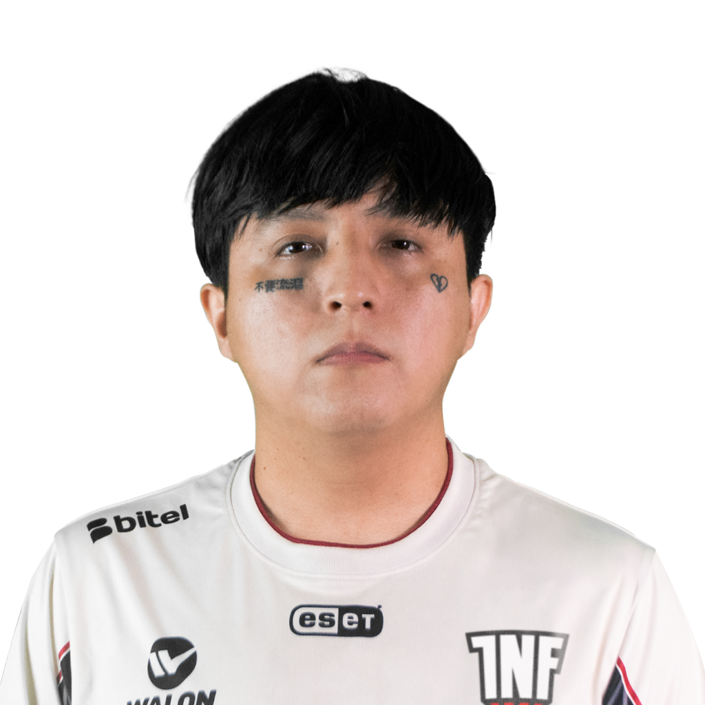 Pegatina del jugador Affliction - TI 2022