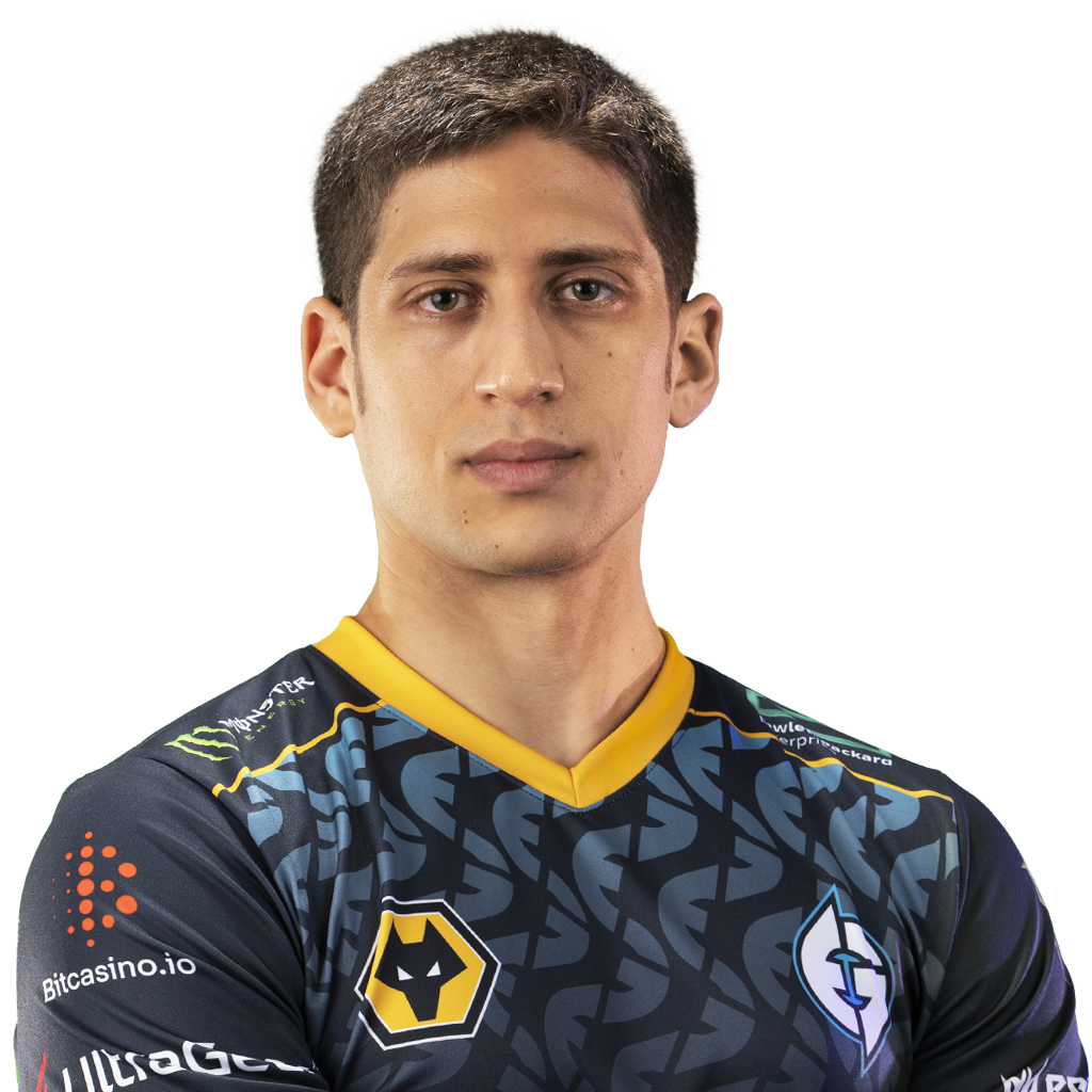 Fly Player Sticker - TI 2022