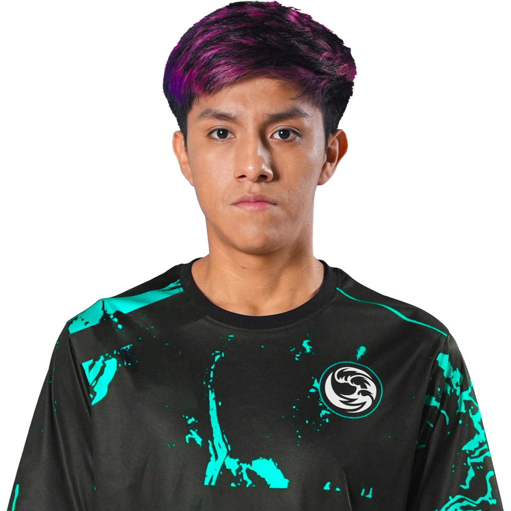 Pegatina del jugador JimPark - TI 2023