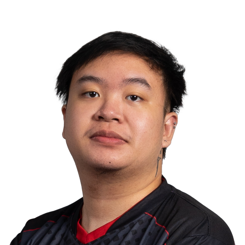 Pegatina del jugador skem - TI 2022