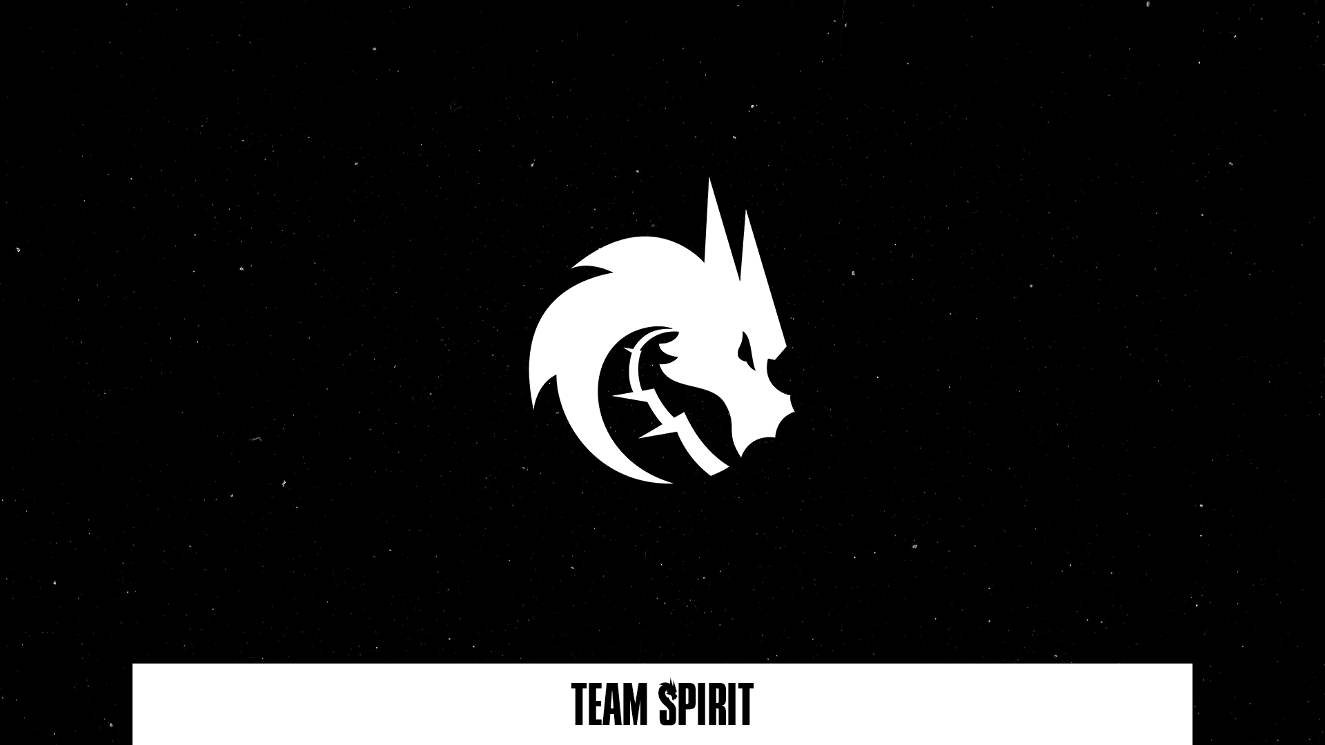 Arrière-plan d'équipe : Team Spirit, saison 2, nº 1