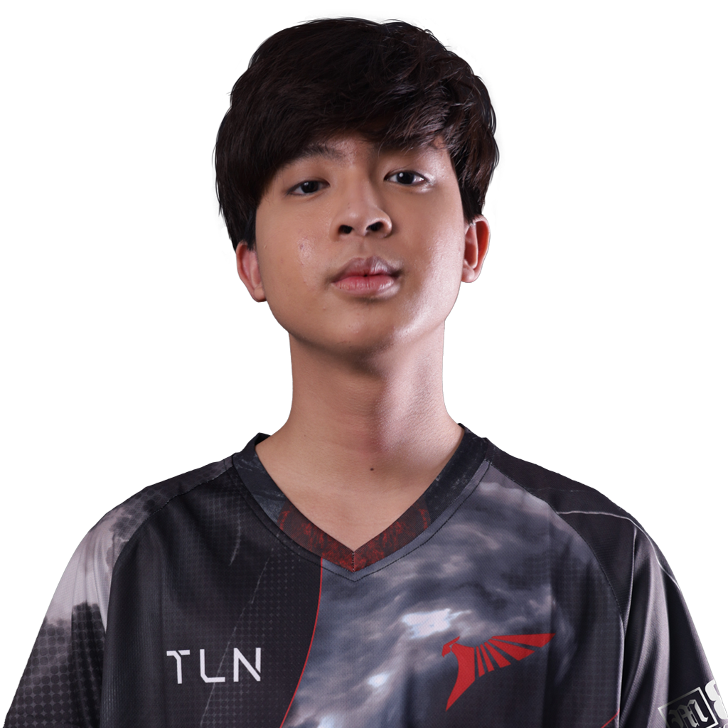 Наклейка игрока: 23savage | TI 2022