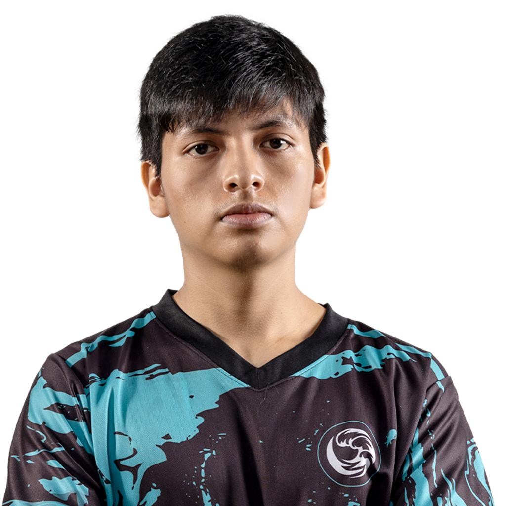 Наклейка игрока: payk | TI 2024