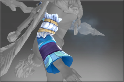 Sleeves of the Winterbringer