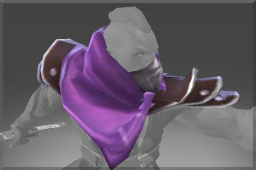 Shoulders of the Witch Hunter