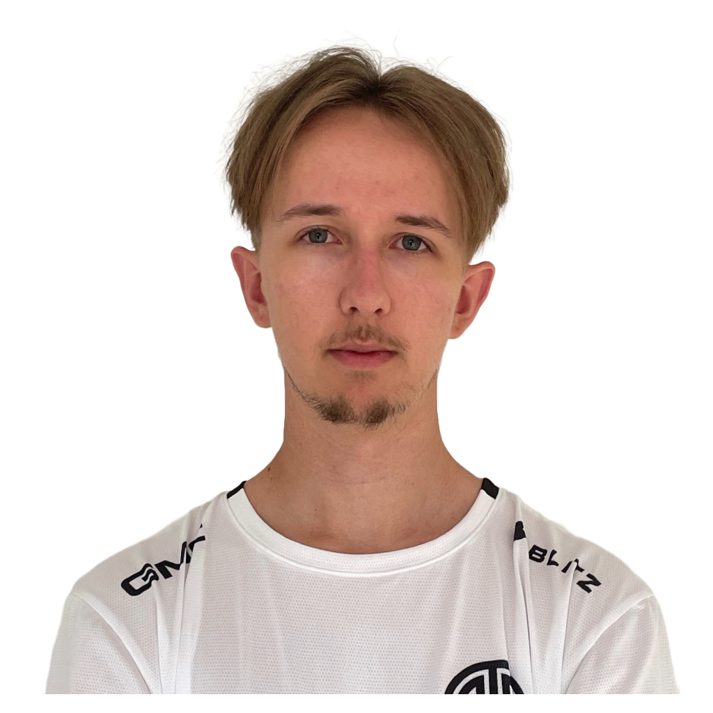 Наклейка игрока: Ari | TI 2023