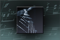 Lote de música Abstraction, de Matt Lange