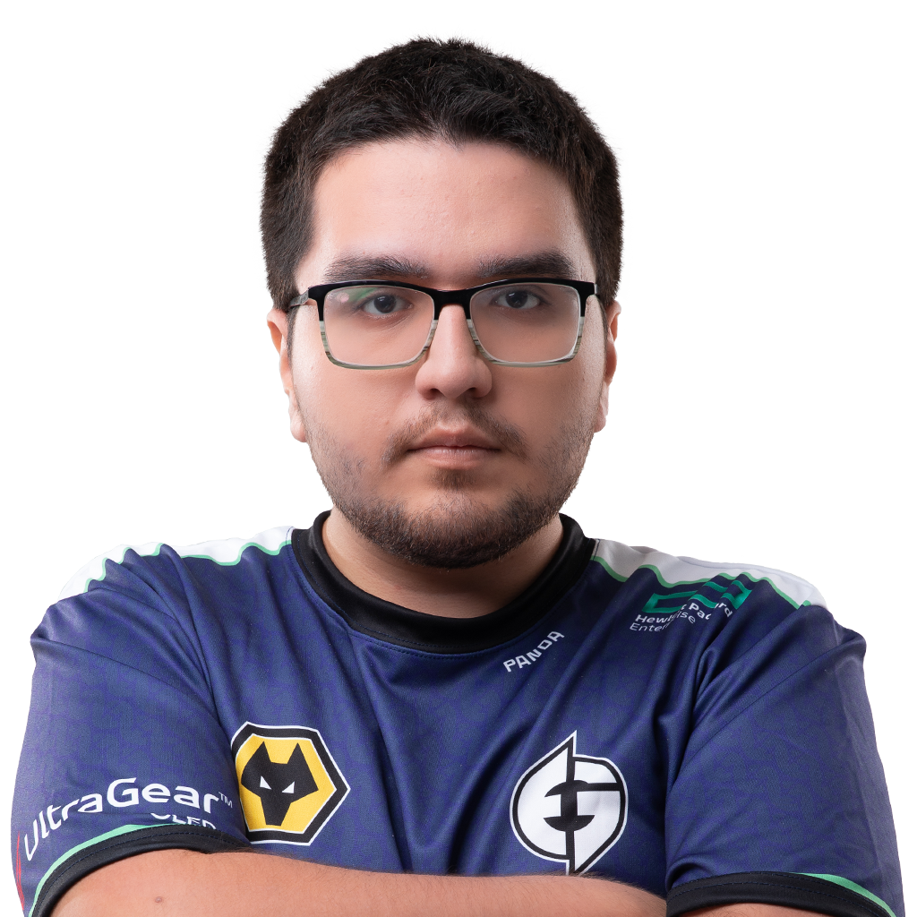 Pegatina del jugador Panda - TI 2023