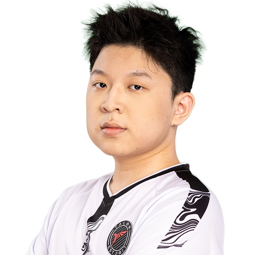 Ws` Player Sticker - TI 2024