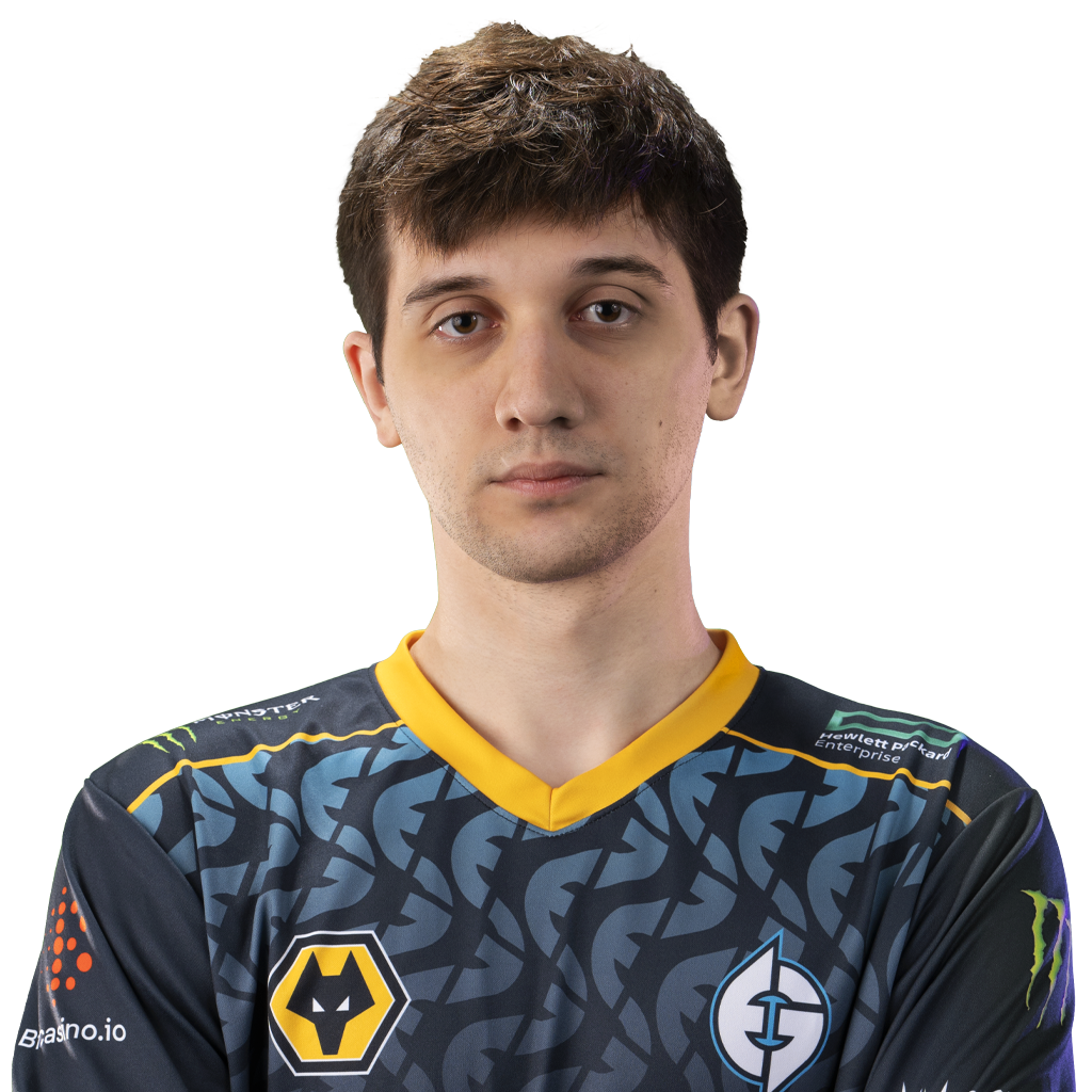 Autocollant de pro : 天鸽 (TI 2022)